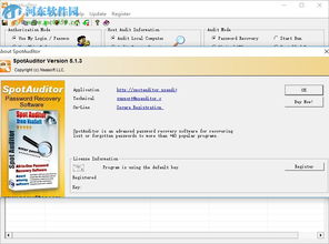 spotauditor下载 spotauditor 密码恢复软件 5.2.4 免费版 河东下载站