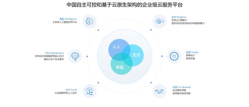 上海金蝶kis商贸版软件安装