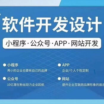 开发团队：专业支持软件定制开发，满足您的独特需求