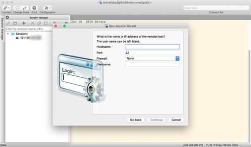 软件开发 从概念到实现的艺术与科学